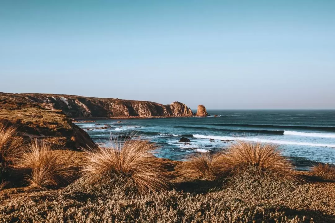 Phillip Island Hiking and Penguin Parade Day Tour