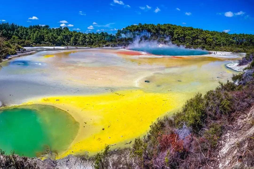 Hobbiton and Rotorua Day Tour with Wai-O-Tapu from Auckland