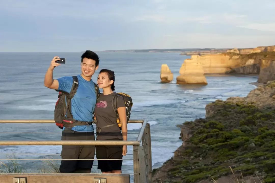 Great Ocean Road Day Tour (Chinese Speaking guide) 