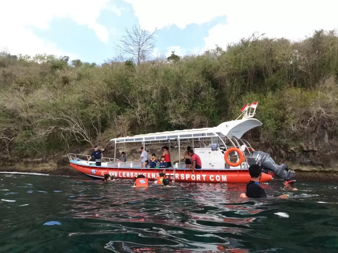 Snorkelling Day Tour in Nusa Lembongan and Nusa Penida from Bali