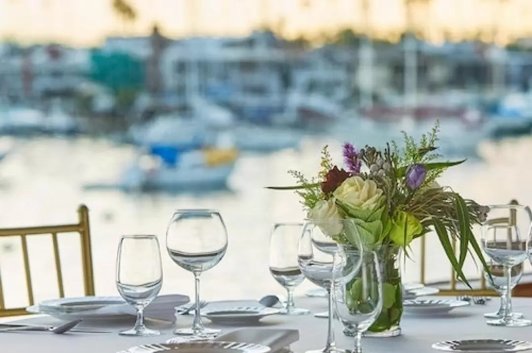 Champagne Brunch Cruise Experience from Newport Beach