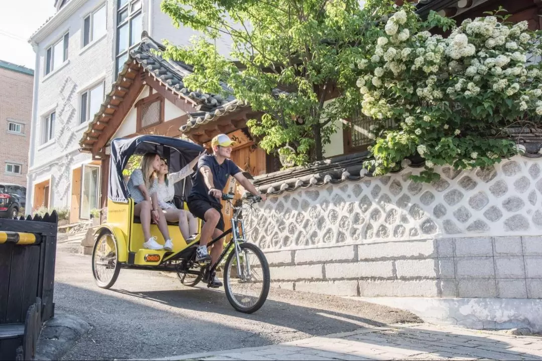 Seoul Pedicab Tour