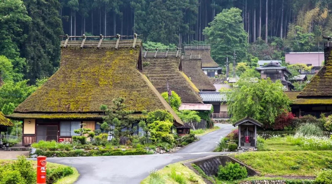 京都北郊一日遊：美山茅草屋之里＆伊根灣＆天橋立（大阪出發）