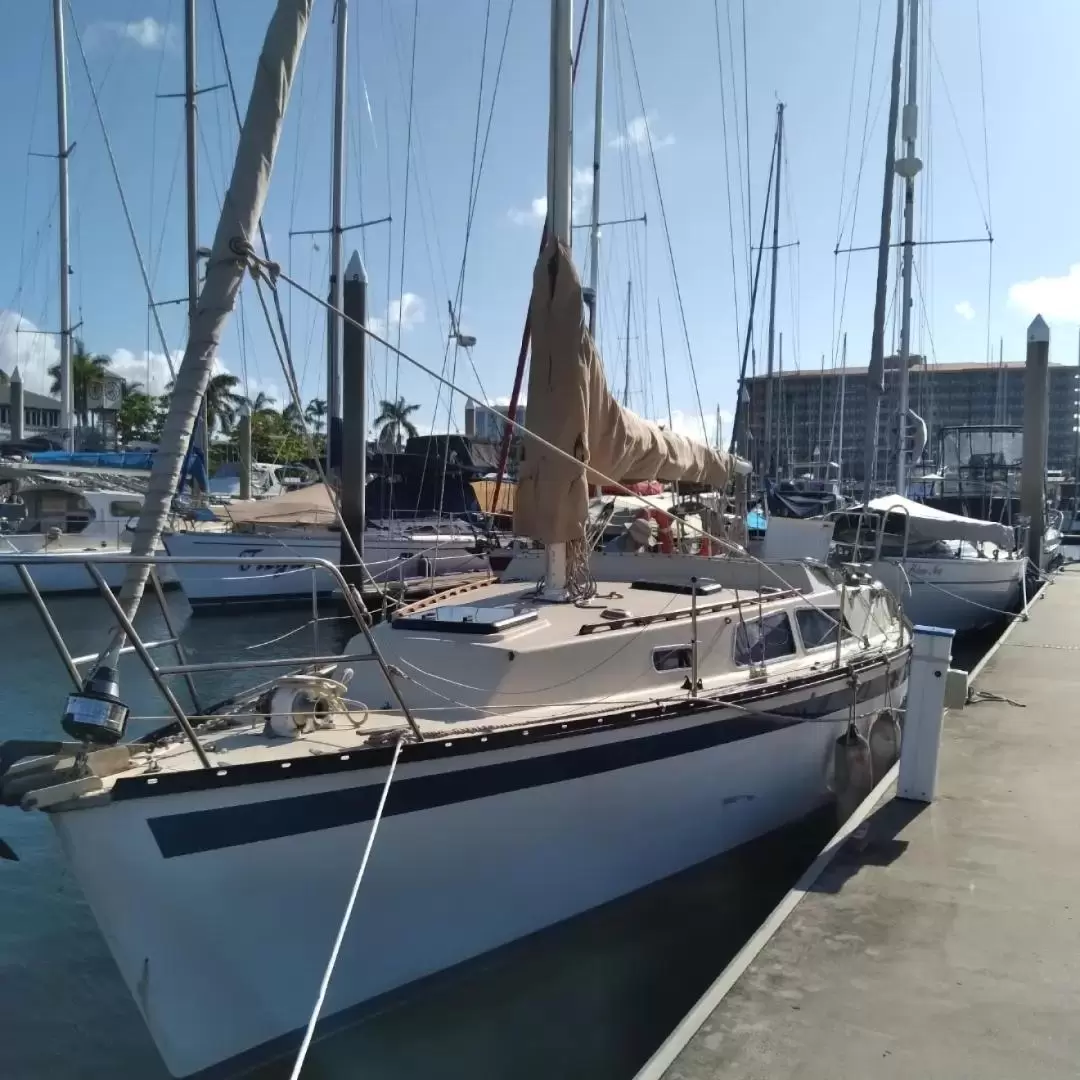 Sunset Sail Experience in Townsville