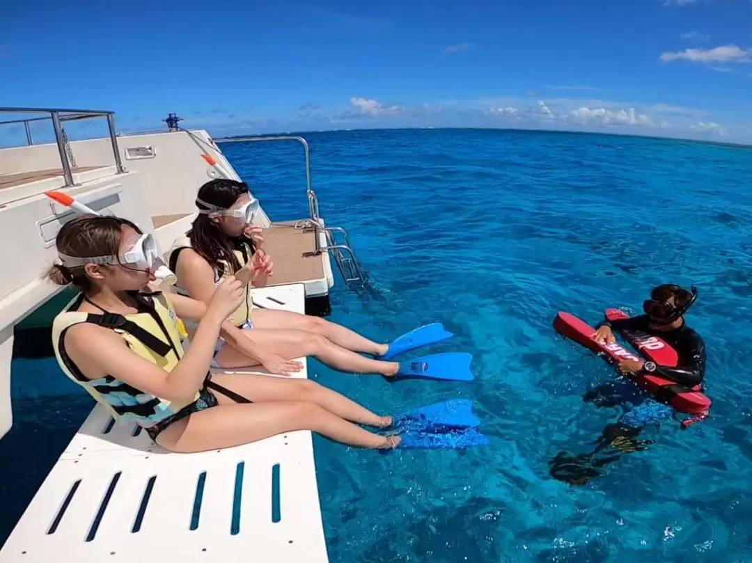 Snorkeling Experience in Ishigaki Island 