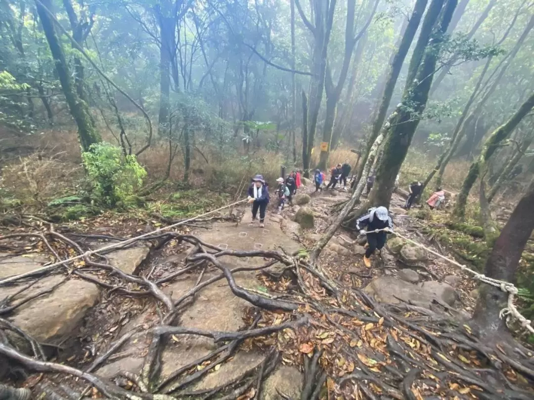 共乘景點接送｜台北車站・台中火車站・台中高鐵站 - 小百岳加里山