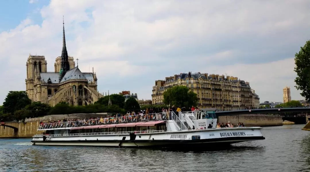 Seine River Sightseeing Cruise and Combo Experience in Paris