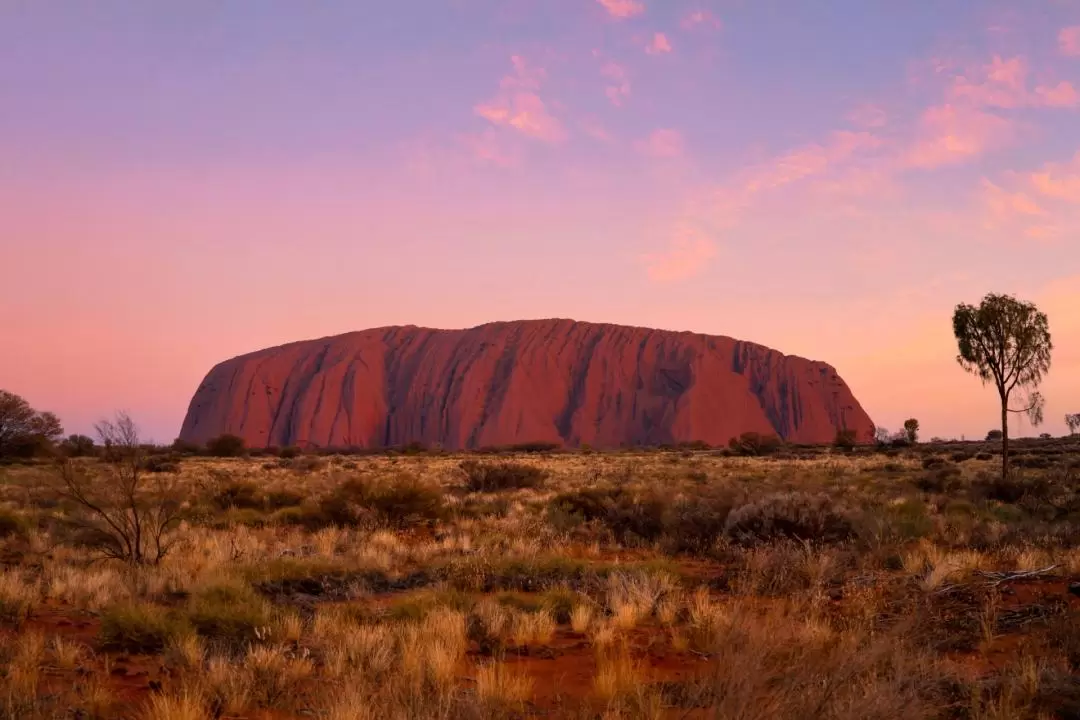 Uluru Sacred Sites and Sunset Day Tour