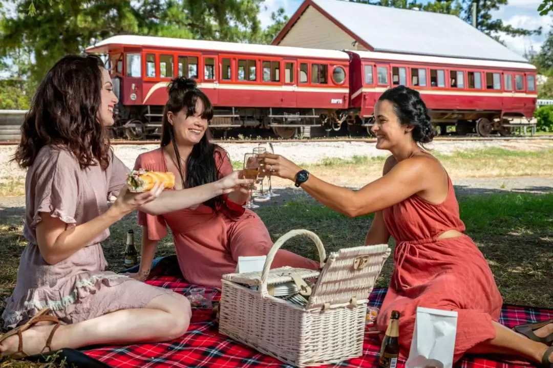 Mary Valley Rattler Train Experience from Gympie