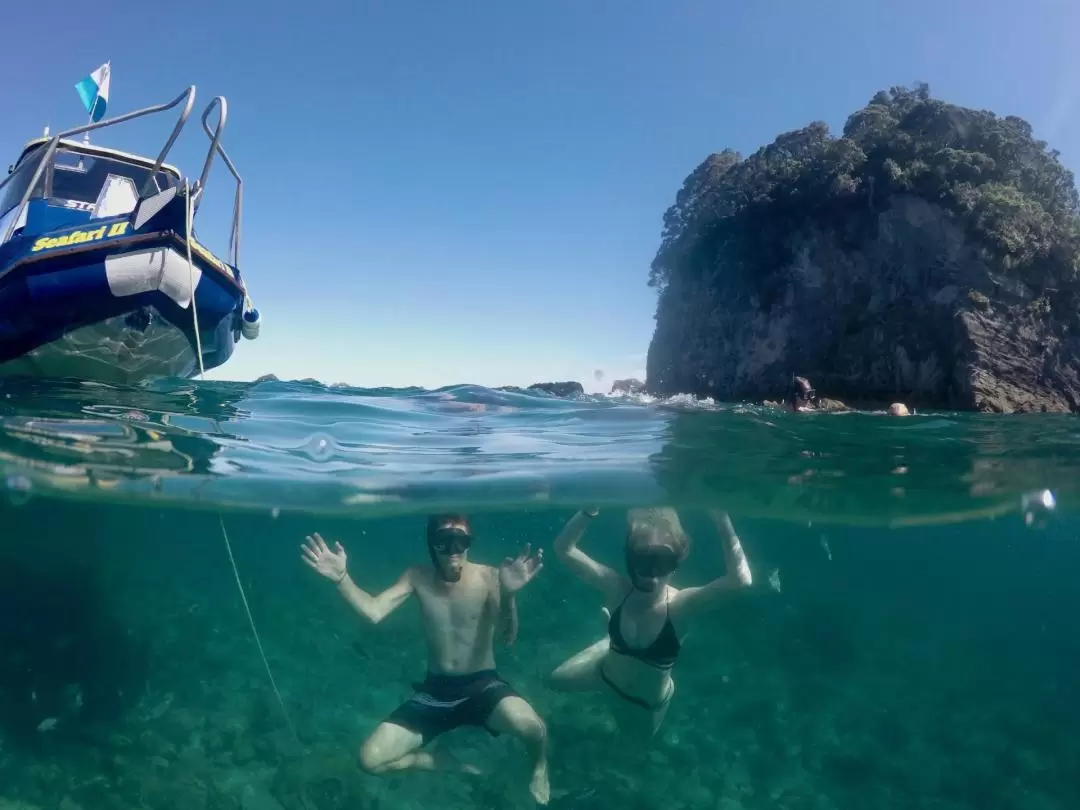 Glass Bottom Boat Cruise at Cathedral Cove in New Zealand