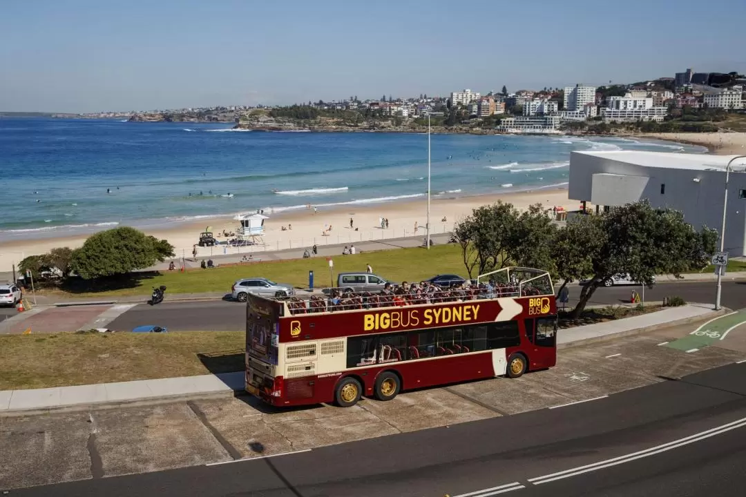 Sydney Big Bus Hop-On Hop-Off Sightseeing Tours (Open-Top)