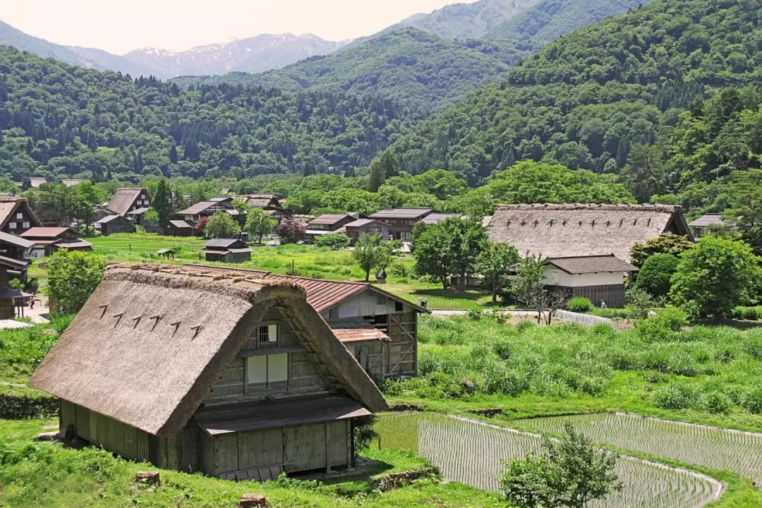  高山市＆白川鄉一日遊（含飛驒牛午餐）- 名古屋出發