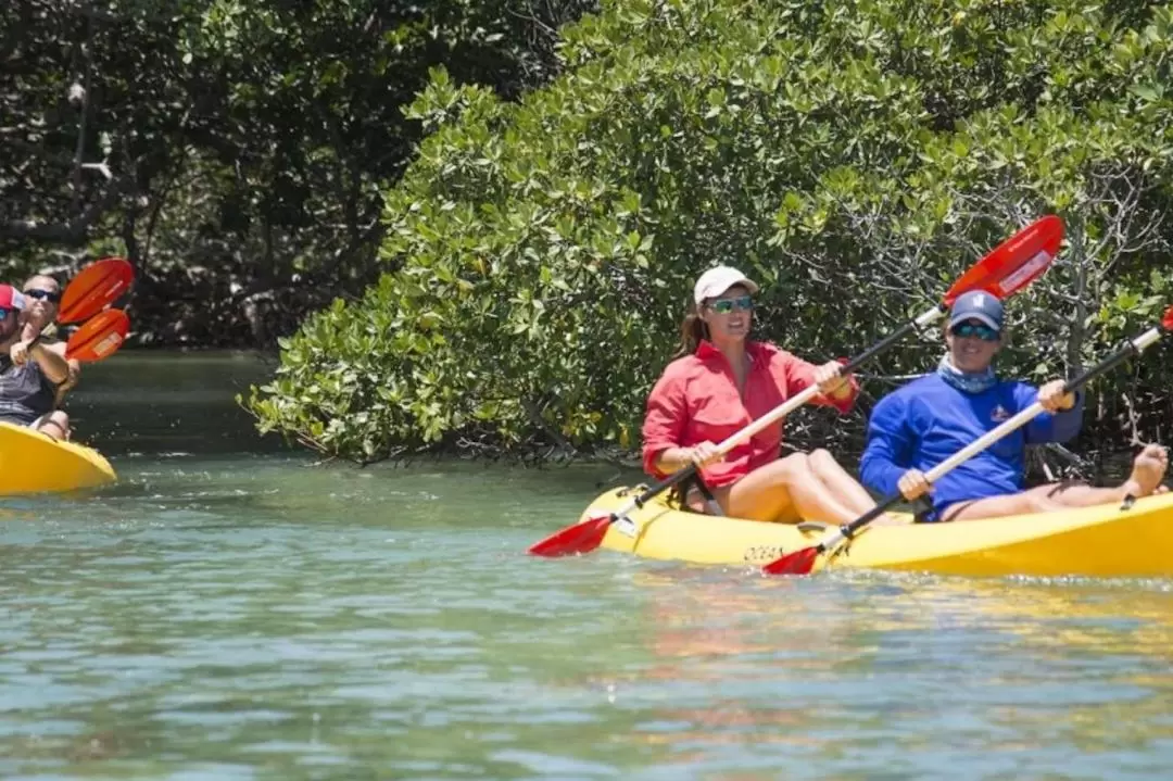 Key West Island Eco Tour with Kayak and Snorkeling from Miami