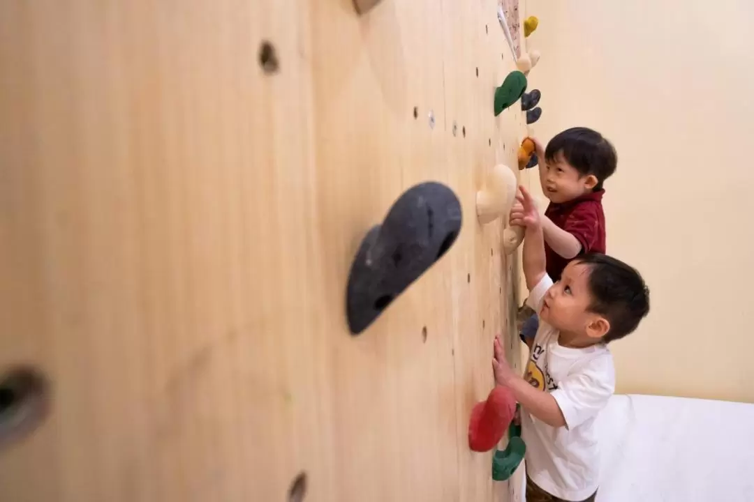 Indoor Rock Climbing Experience at Project Rock in Penang