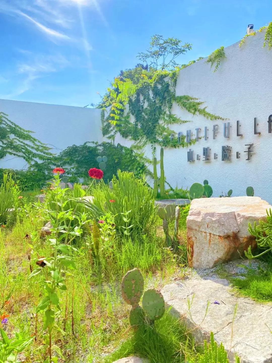 惠州泛蜜月•山裡院子住宿套餐