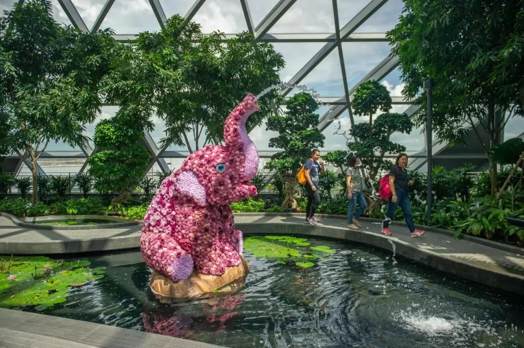 ジュエルチャンギエアポート アトラクション利用チケット（シンガポール）