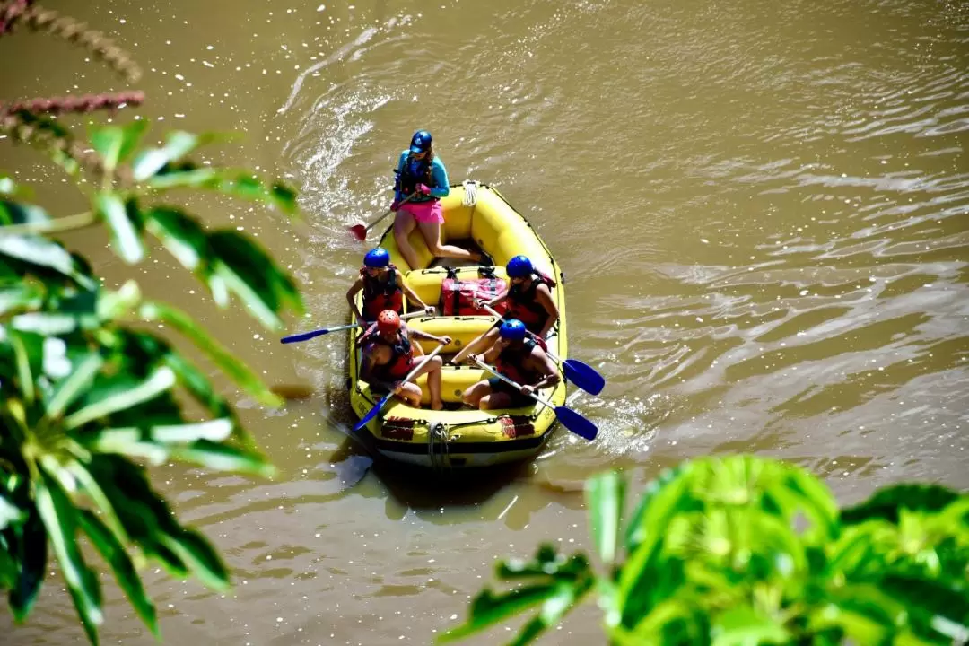 凱恩斯巴倫河（Barron River）下午漂流