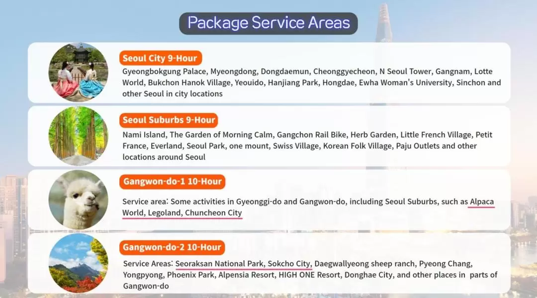 Gangwon-do and Gyeonggi-do Private Car Charter 