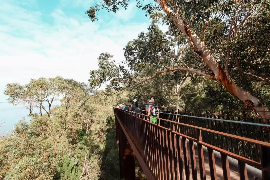 國王公園植物園 & 周邊景點步行導覽之旅