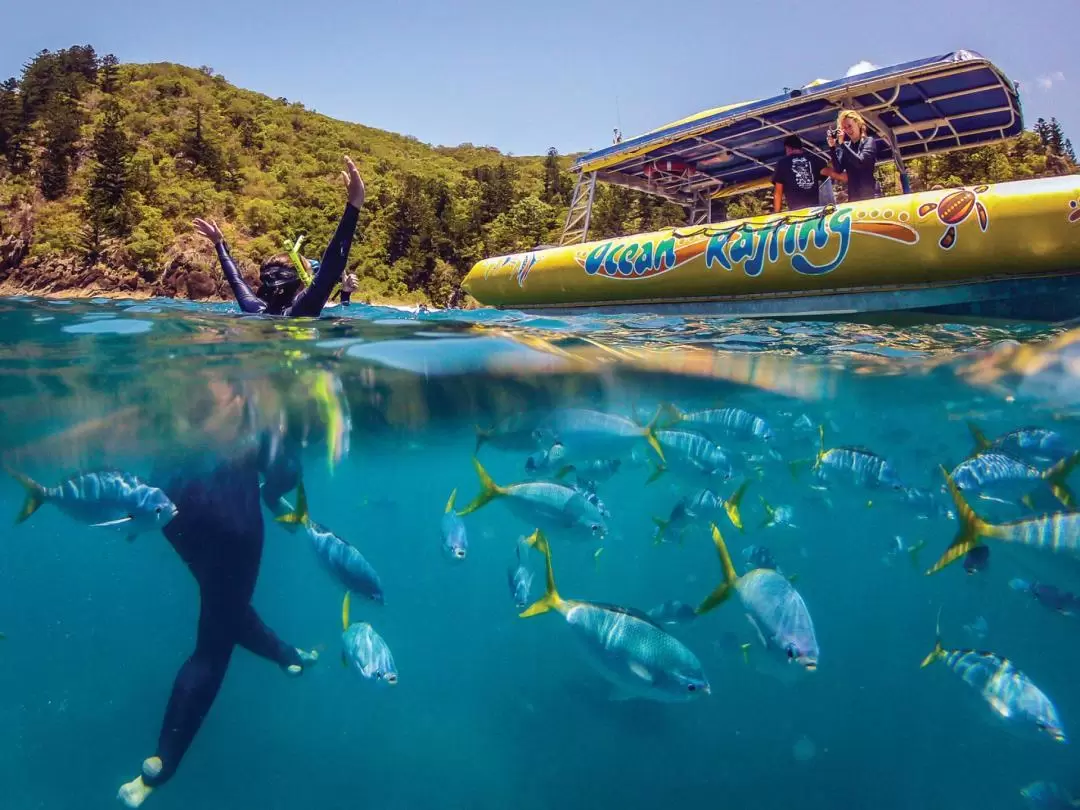 Whitehaven Beach Snorkelling and Adventure Day Tour