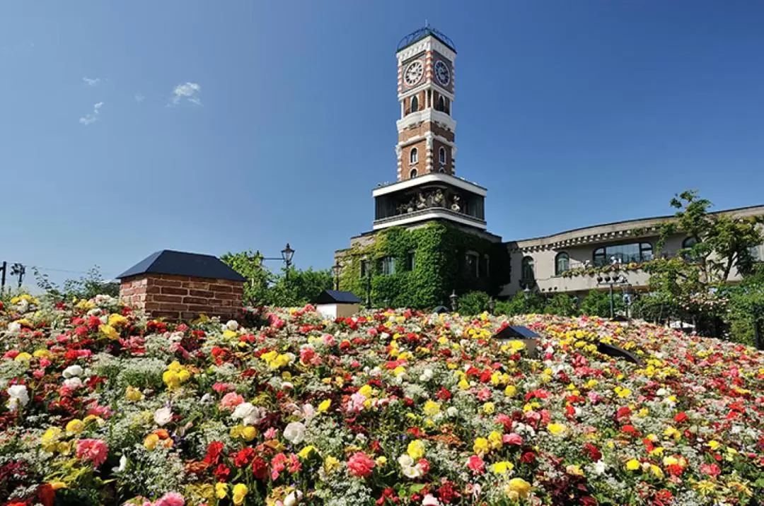 札幌北海道神宮 ＆ 白色戀人公園 ＆ 大倉山跳臺 & 場外市場