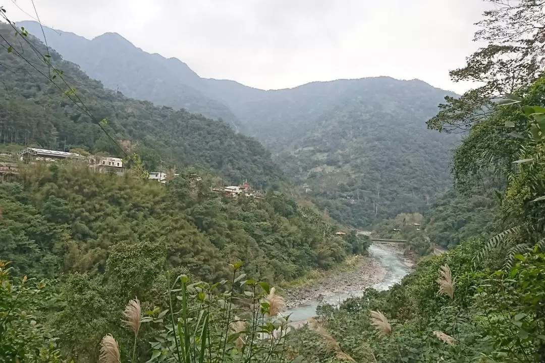 Neidong Forest Recreation Area Ticket in New Taipei City