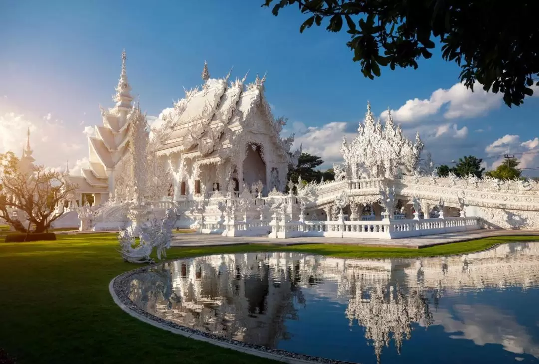 Chiang Rai Iconic White, Blue Temple, Black House Museum and Hot Spring Visit Day Tour