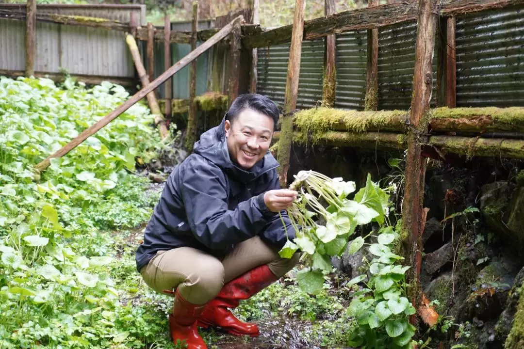 Wasabi farm hiking tour in Okutama