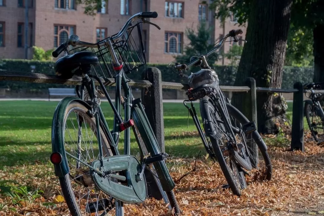 Cambridge University Walking Tour