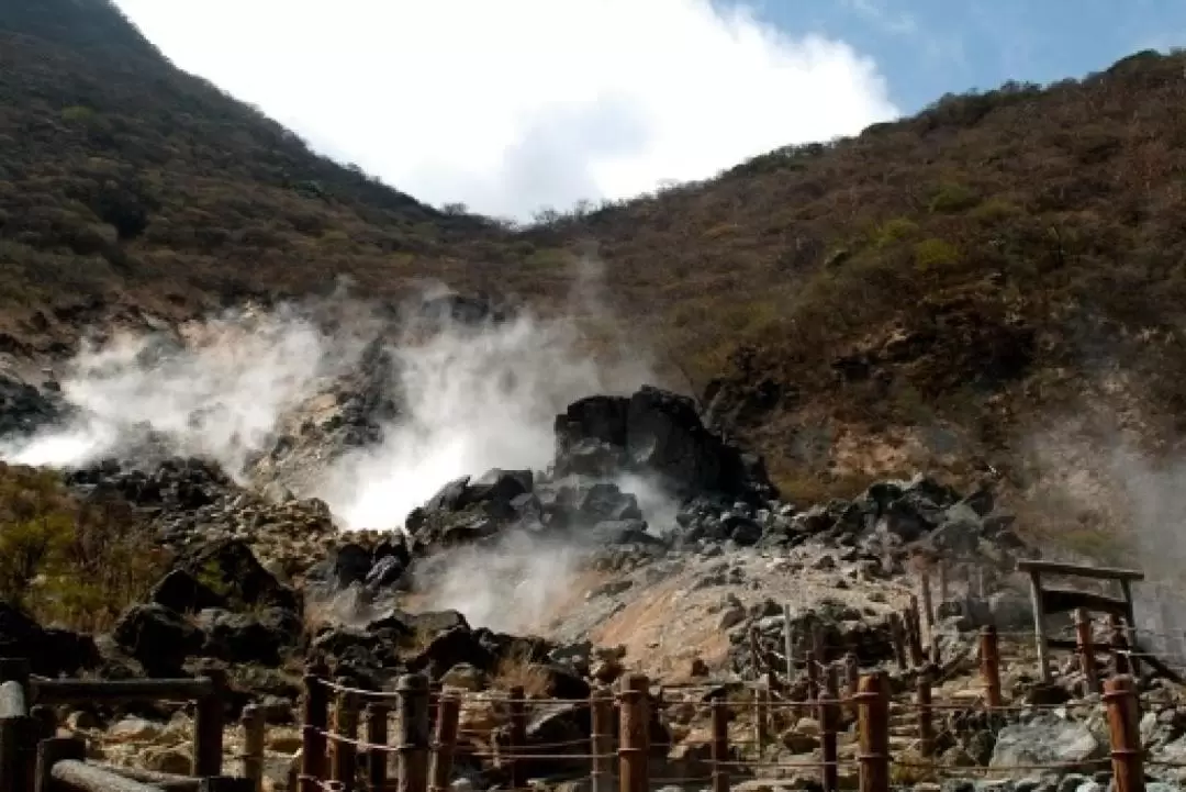 Mt. Fuji, Owakudani, & Hakone One Day Tour from Tokyo