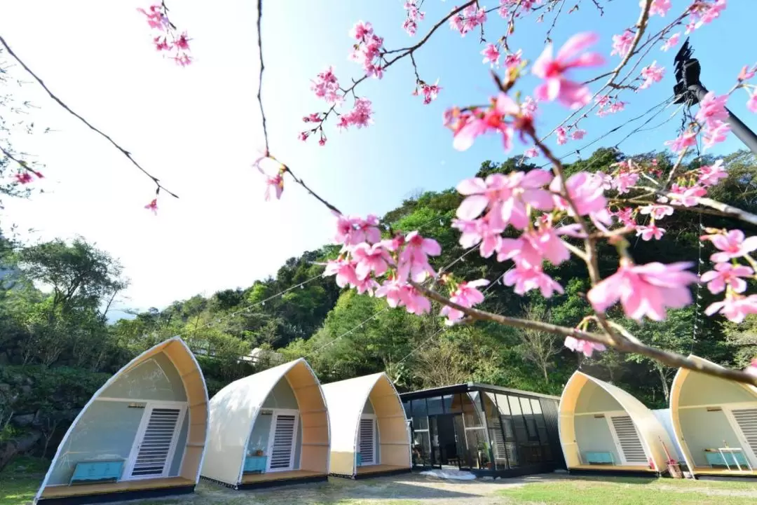 苗栗露營｜山川密境露營區｜彩虹貨櫃小屋露營體驗