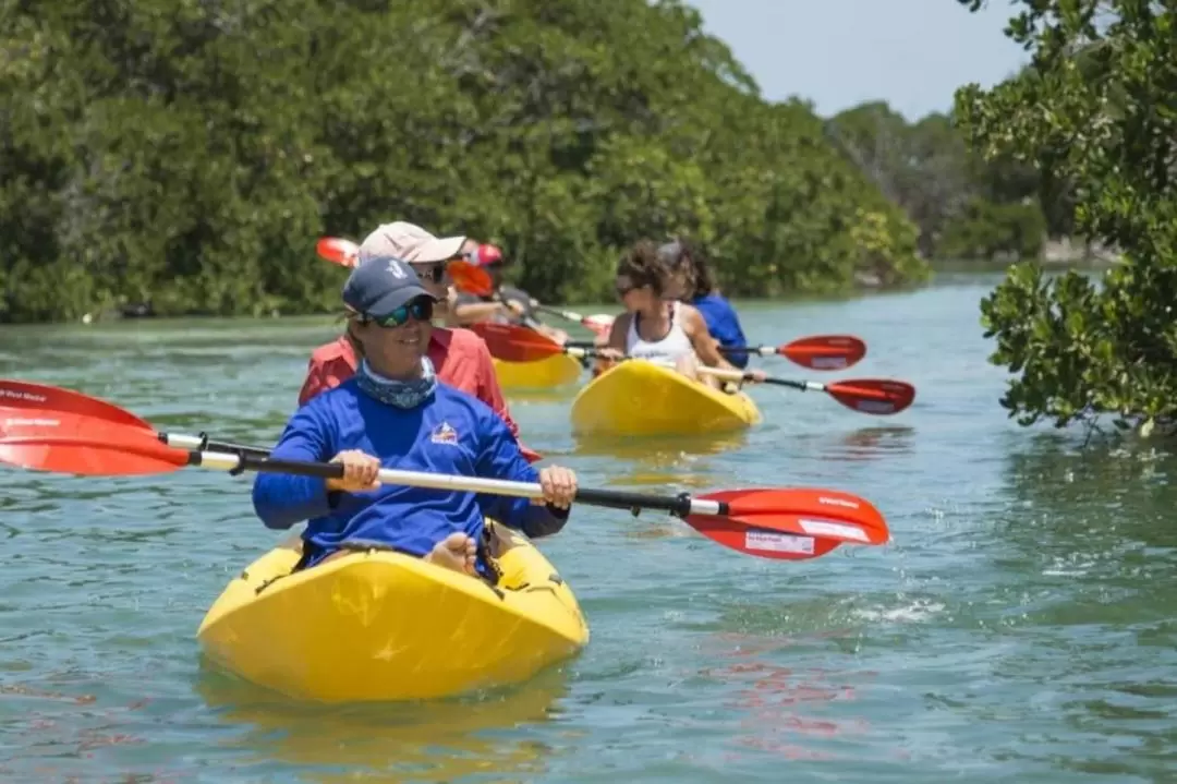 Key West Island Eco Tour with Kayak and Snorkeling from Miami