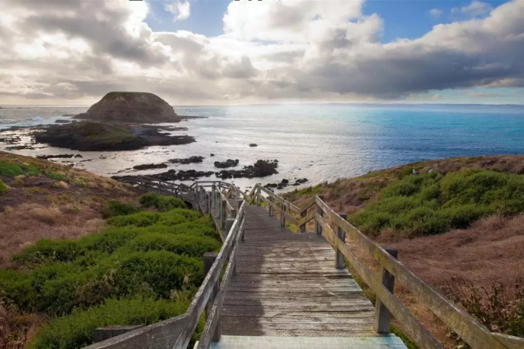 Phillip Island Wildlife & Brighton Bus Tour	