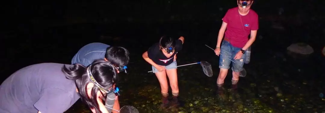 Nighttime Shrimp Picking with Dinner Experience in Hualien