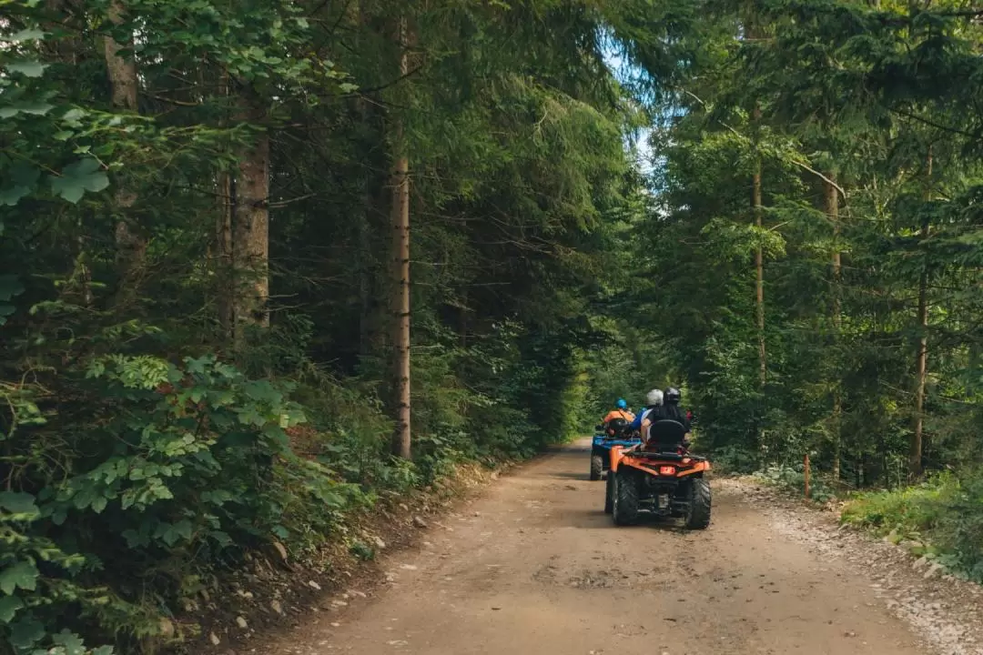 普吉島熱門景點半日遊（含 ATV 越野車體驗）