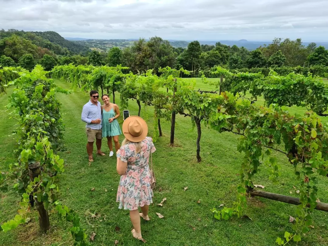 Hinterland Cheese And Wine Tour in Sunshine Coast