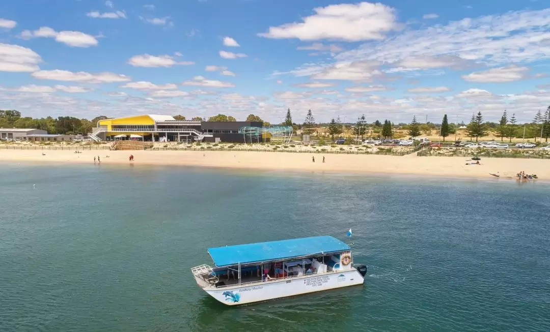 Dolphin Eco Cruise at Dolphin Discovery Centre in Bunbury