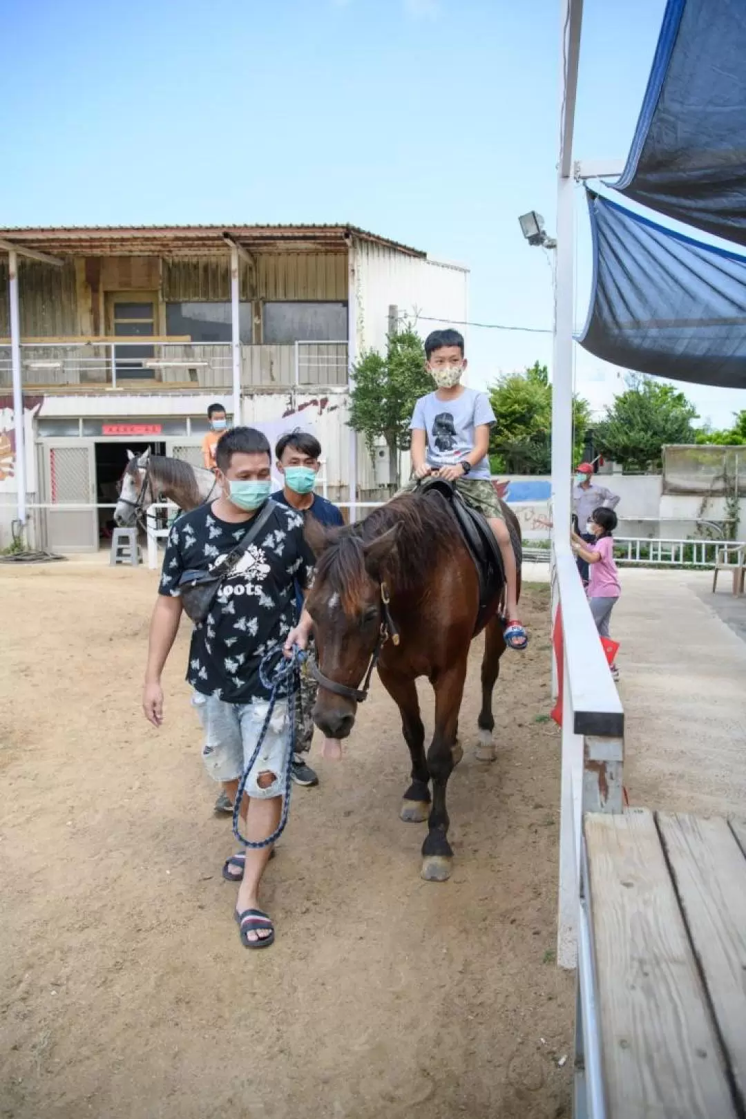 澎湖戶外活動: 驫風馬場騎馬體驗＆餵馬＆馬匹知識教學