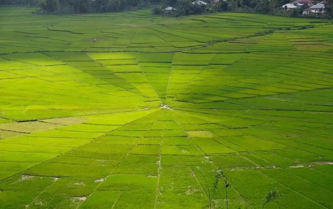 3D2N Wae Rebo Village Tour from Labuan Bajo