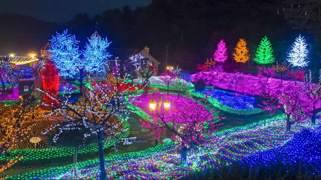 Goseokjeong Flower Field/Cheorwon Historical Day tour 