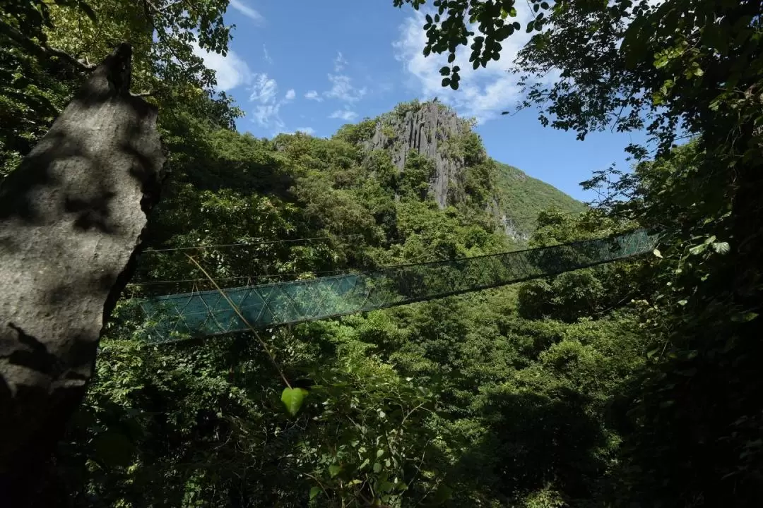 愛妮島 Via Ferrata 門票（含樹冠步道＆捕夢網體驗）