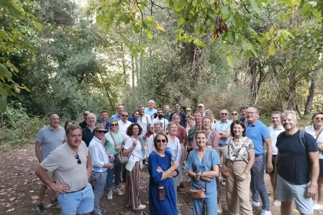 Cedars, Qadisha and Bcharre Tour from Beirut 