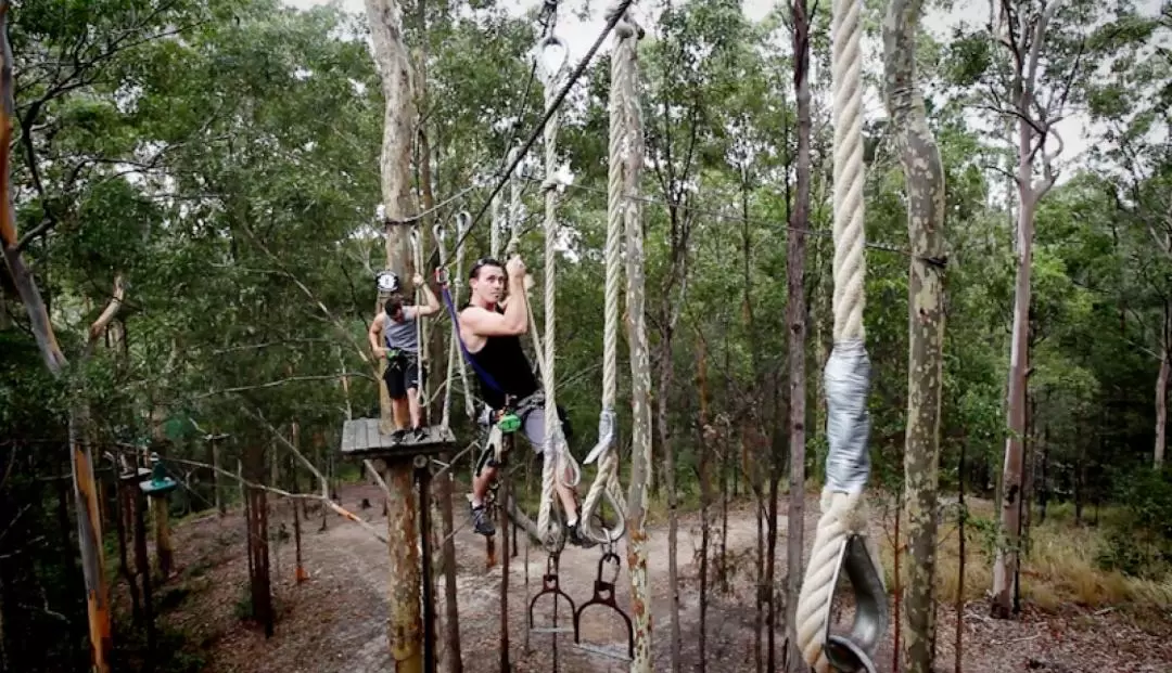 TreeTop Challenge at Mount Tamborine