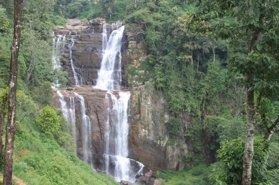 努瓦勒埃利耶 Nuwara Eliya & 世界盡頭 World's End 徒步2日遊（可倫坡出發）