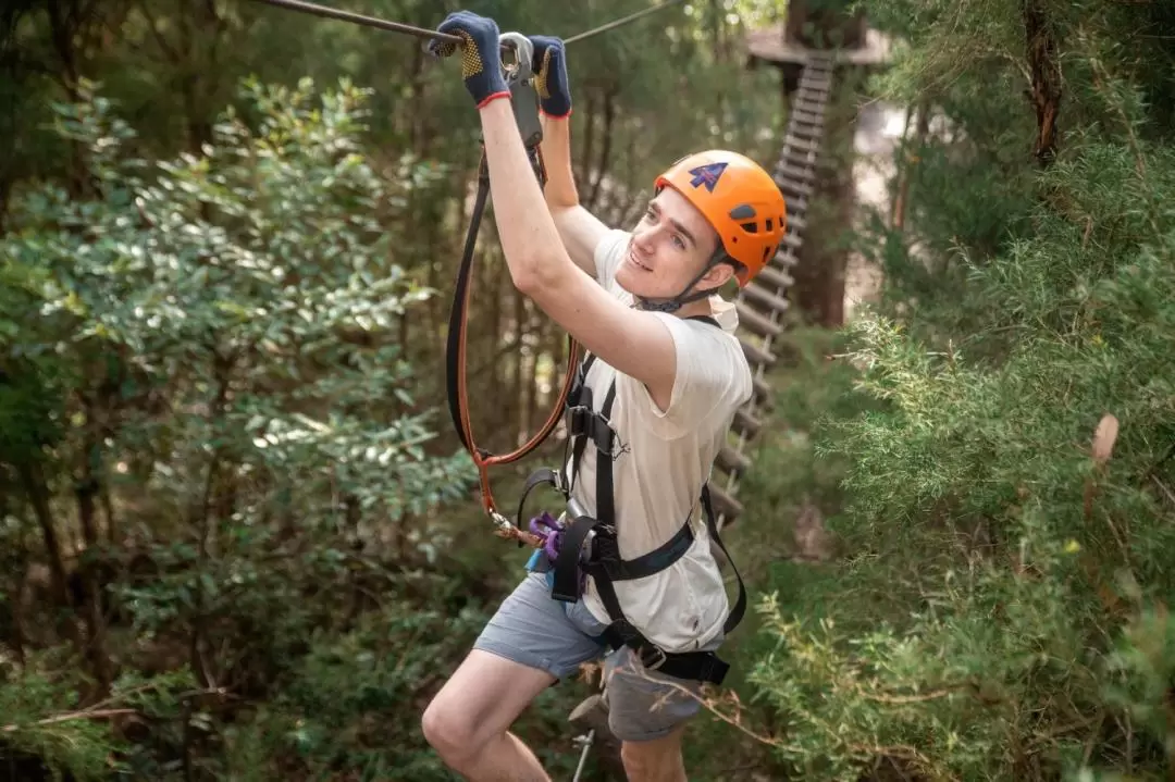 Tree Ropes Course and Net World Experience in Central Coast