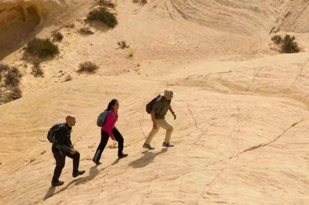 Las Vegas' Valley of Fire Hiking Day Tour