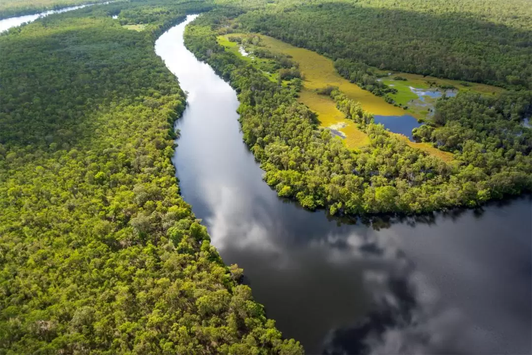 Kakadu in a Day