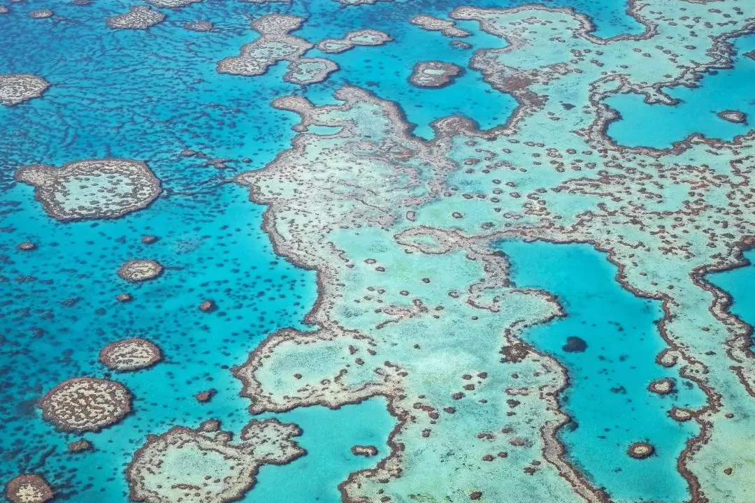 Whitsundays Scenic Flight Experience from Airlie Beach