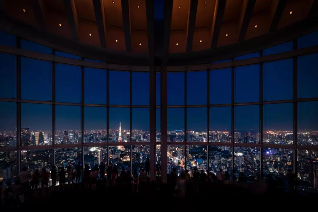 Roppongi Hills Observation Deck ”Tokyo City View“ Ticket