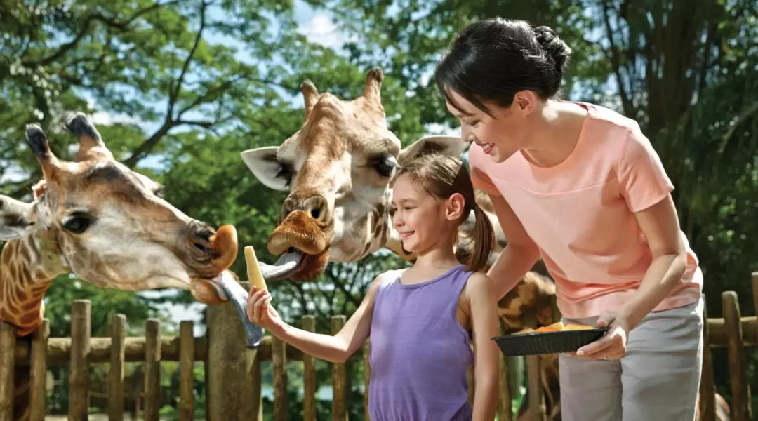 新加坡動物園＆河川生態園門票